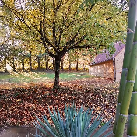 Du Moulin De Maitre Pierre Holiday home Payrignac