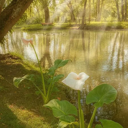 Du Moulin De Maitre Pierre * Payrignac